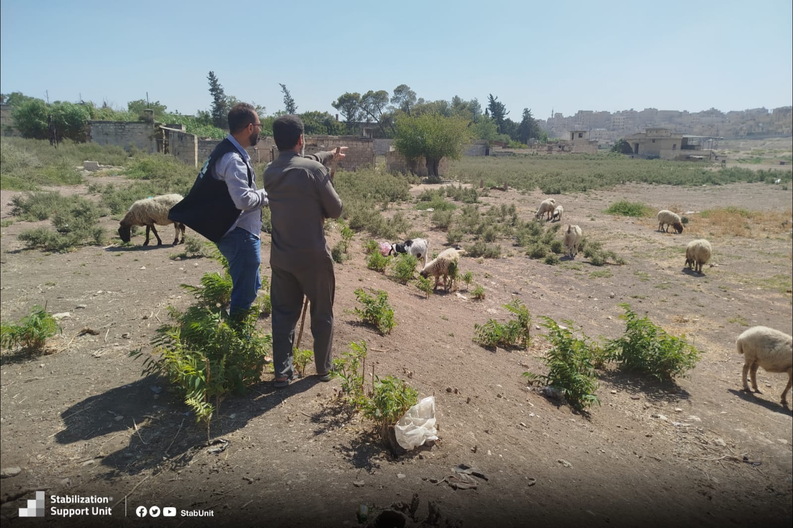 Jarat Al-Qala’ Market – Reviving Livelihoods and Local Resilience